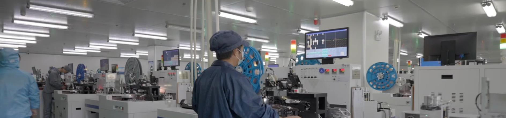 Chip production plants.jpg